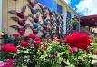 Roses For Sale Diamond Fresh Farmers Market 1